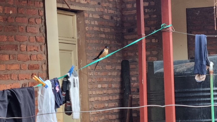 20251107 155805-Klein